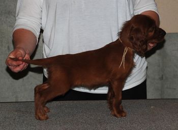 White girl at 7 wks old.
