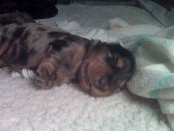 Sixteen days old already - boy how time flies!!
