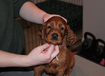 White girl at 5.5 weeks old.
