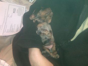 11 Days old. Awww...
