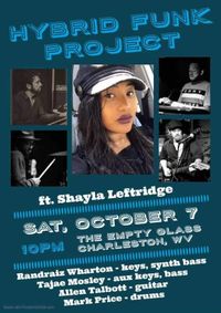 Hybrid Funk Project ft Shayla Leftridge   