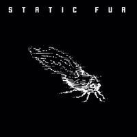  Cinco de Mayo with Static Fur & Friends!