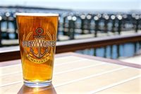 Wayzata Brew Works - Full band show