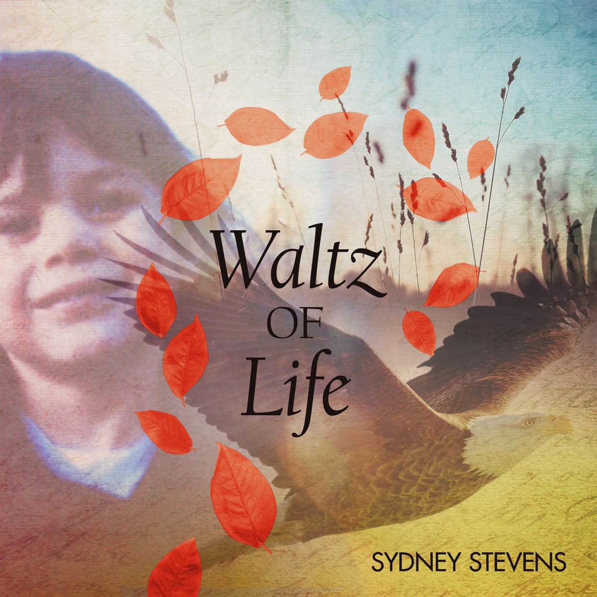 Waltz of Life SONGBOOK
