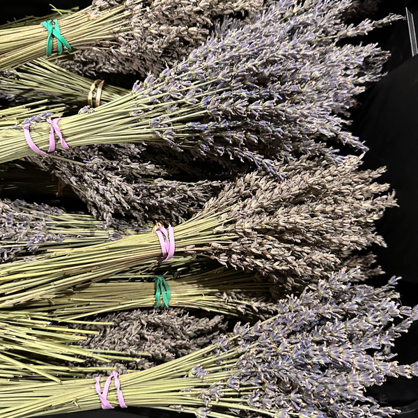 HorseBite Farm Lavender Bundle