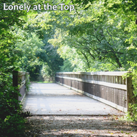 Lonely at the Top by Lonely at the Top