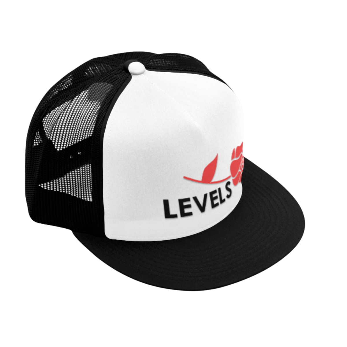 Levels Hat 