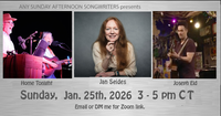 Any Sunday Songwriters hosted by Jan Seides