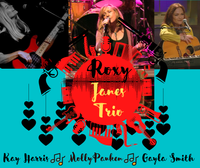Buckeye Lake winery  Roxy Jane Trio 