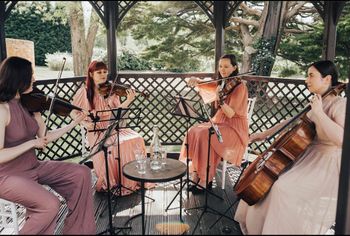 Chiqas_Music performing at a wedding. Photo by Recebba Carpenter Photography.
