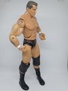 Randy Orton Deluxe Aggression Jakks Pacific
