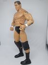 Randy Orton Deluxe Aggression Jakks Pacific