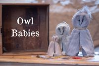 Owl Babies