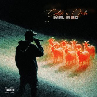 Chicago Rapper , Mr Red , Trapper of the year, catch a vibe, thug motivation,  