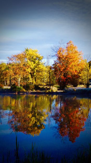 Reflections fascinate me

