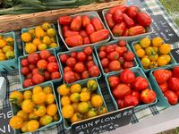 Henniker Farmer's Market