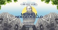 Meshell Ndegeocello