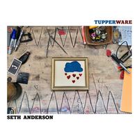 Tupperware by Seth Anderson