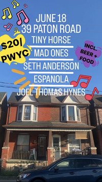 Seth Anderson w/ band Summer Canadian Tour 2022