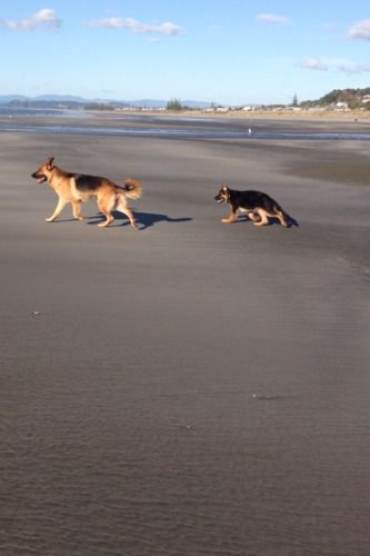 Lyra and Orka
