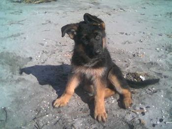 11 weeks first beach visit
