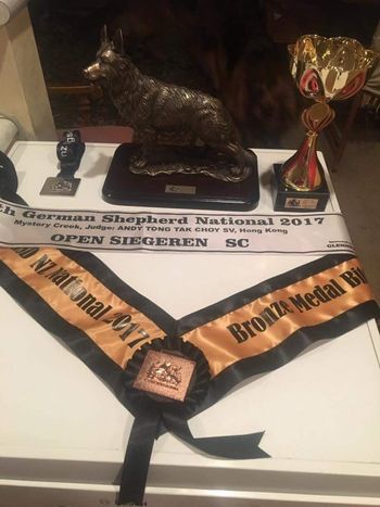 Orka's bronze medal prizes
