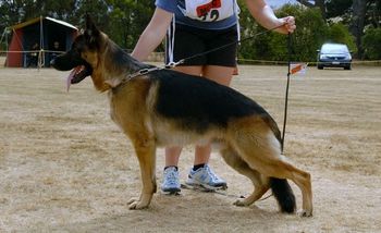 Brock at 20 months
