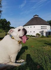 RRF Live at Round Barn Winery, Distillery & Brewery