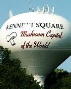 37th Annual Mushroom Festival 