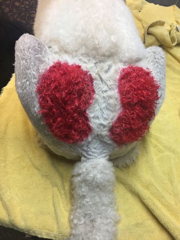 our Valentine's day work in progress
