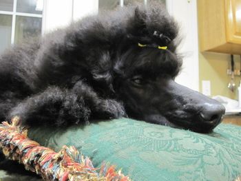 So bored, Mom!
