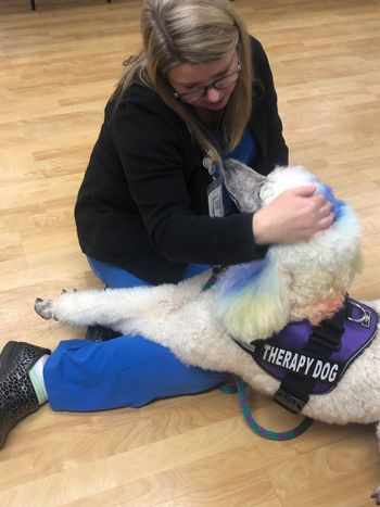 My co worker had to get some Clover time. She recently said goodbye to her best friend :(
