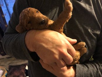 Snuggles start early!
