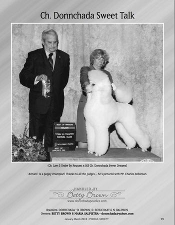 Armani's Poodle Variety Ad for 1st quarter, 2012
