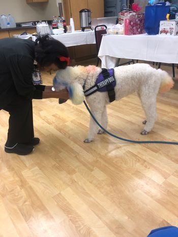 Clover loves visiting my work for Nurses Week!

