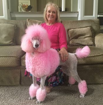 Lil Bit o Roux lives with Cali & her fun mom, Debi!
