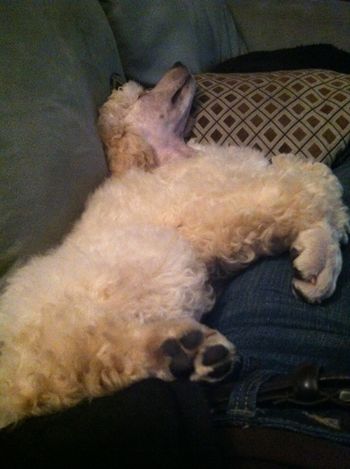 sooo exhausted
