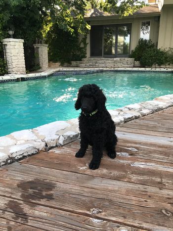 Kaia checking out her new house
