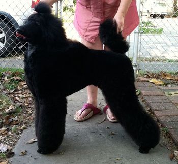 Cali tasting the Spring air as her co-owner, Tabatha Waters of NOLA Standards, works on perfecting her stack.
