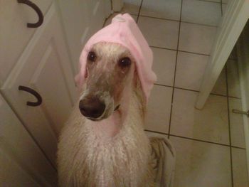 Real men wear pink!
