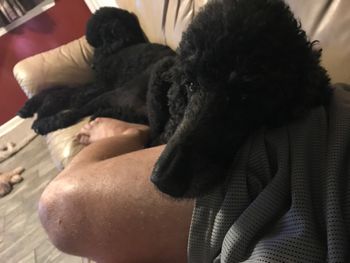 Very occasionally, she likes to be really close.
