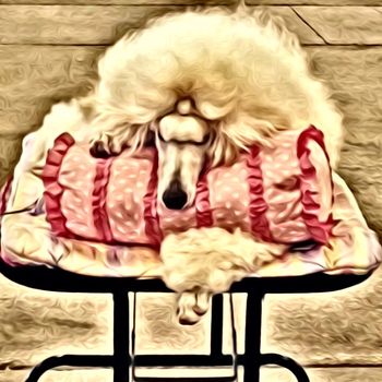 Tatiana at the dog show
