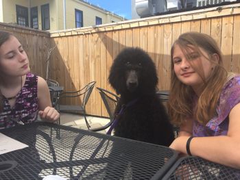 My girls at "The Standard" restaurant on Magazine St. New Orleans
