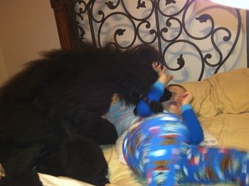 Cali giving Anthony some good night kisses
