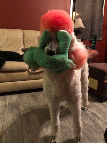 This is her being herself
