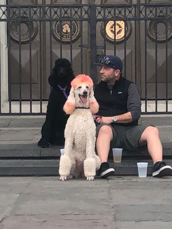 Clover & her sister Natalie in the French Quarter
