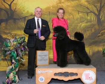Misha WB at her very 1st dog show - Judge Rodney Merry, Handler Sherri Vidrine
