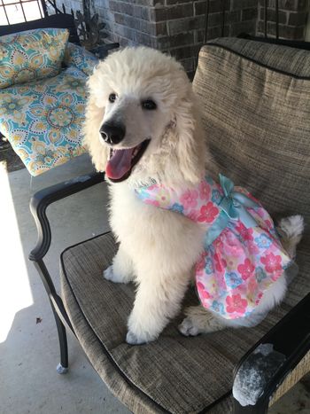 Dressed for the Springtime fun
