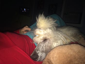 She fell asleep during the movie.
