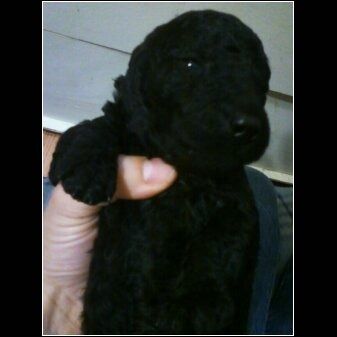 Teeny Boy Says "Hello" to his New World! I welcomed him with love & kisses.
